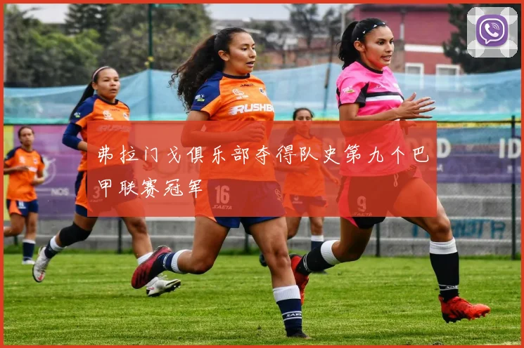 弗拉门戈俱乐部夺得队史第九个巴甲联赛冠军