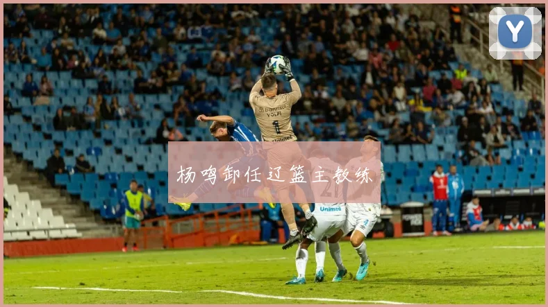 杨鸣卸任辽篮主教练