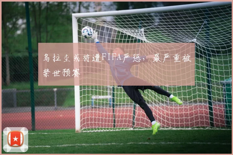 乌拉圭或将遭FIFA严惩，最严重被禁世预赛