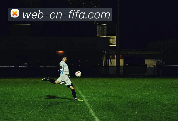 多媒体互动体验